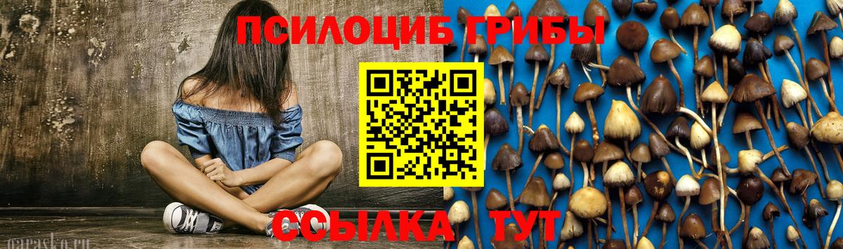 Карталы  Галлюциногенные грибы Psilocybe  Вход с VPN 