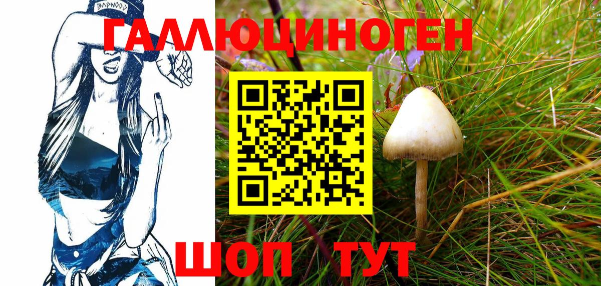 Галлюциногенные грибы мухоморы Карталы
